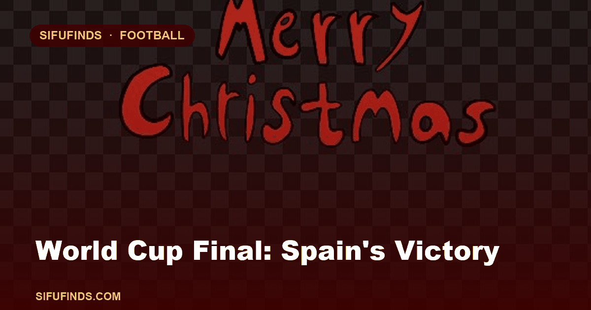 World Cup Final: Spain's Victory